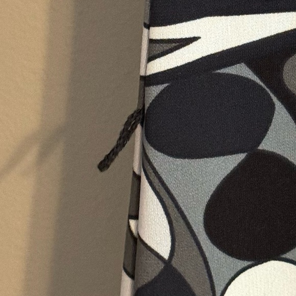 Express Dress - Picture 3 of 3